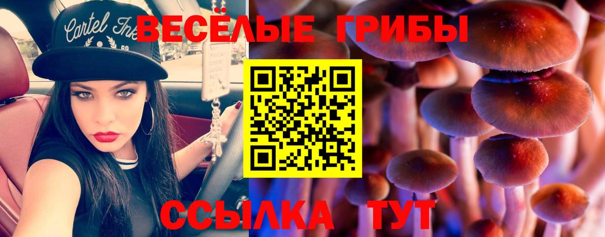 Псилоцибиновые грибы мицелий Вышний Волочёк